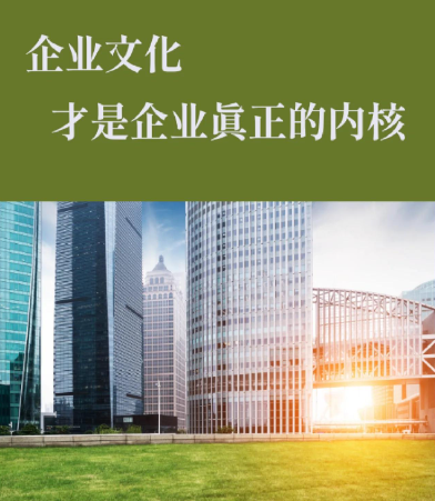 上海锝睇科技厂区智能安防系统搭建方案与实施要点解析